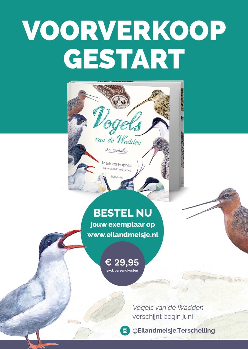 Aangespoeld: verhalen van Eilandmeisje, april 2021 - mailchi.mp/d423dba0105f/a… Bekendmaking waar mijn nieuwe boek over gaat! Iets met #vogels #wadden #verhalen #aquarellen #waddeneilanden #terschelling #texel #vlieland #ameland #schiermonnikoog #vogelskijken #boek #eilandmeisje .