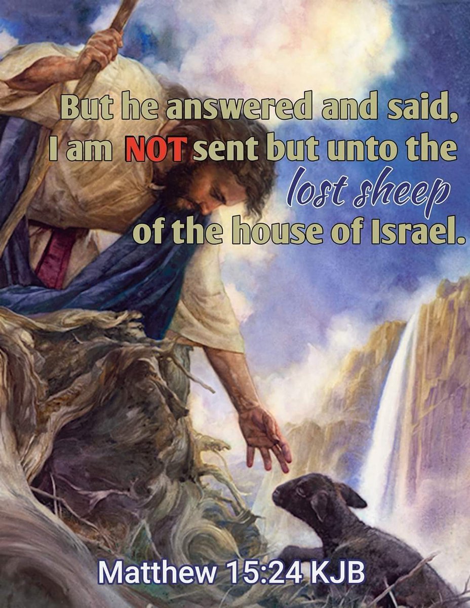 Jesus was sent to Israel ONLY! NOT Gentiles i.e non Jews:Ezekiel 3:4-5 KJBAnd he {God the Father} said unto me, "SON OF MAN, go, get thee unto the HOUSE OF ISRAEL, and speak with my words unto them. [5] For thou art NOT sent to a people of a strange speech and of an 1/6