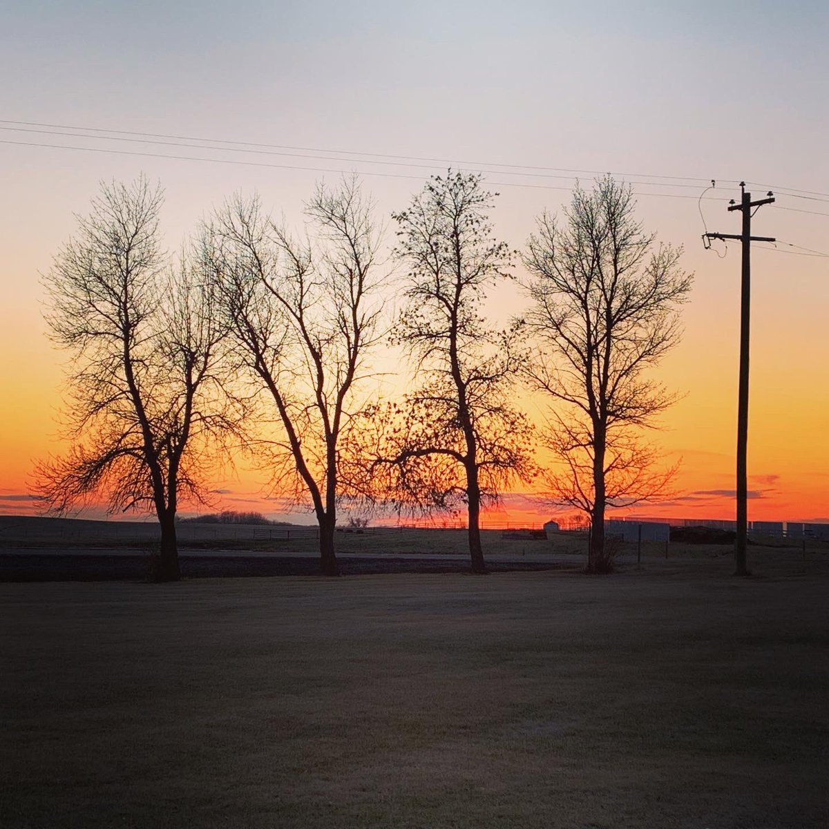 crantina's tweet photo. If you don’t like the view, just wait a few minutes. That’s the thing about #perspective, too. Just give it a minute. These were taken less than 30 mins apart - from the first to the last. There’s nothing quite like an #AlbertaSunset ♥️ #albertaviews #albertagirl #AB https://t.co/CIDIsUKfCF