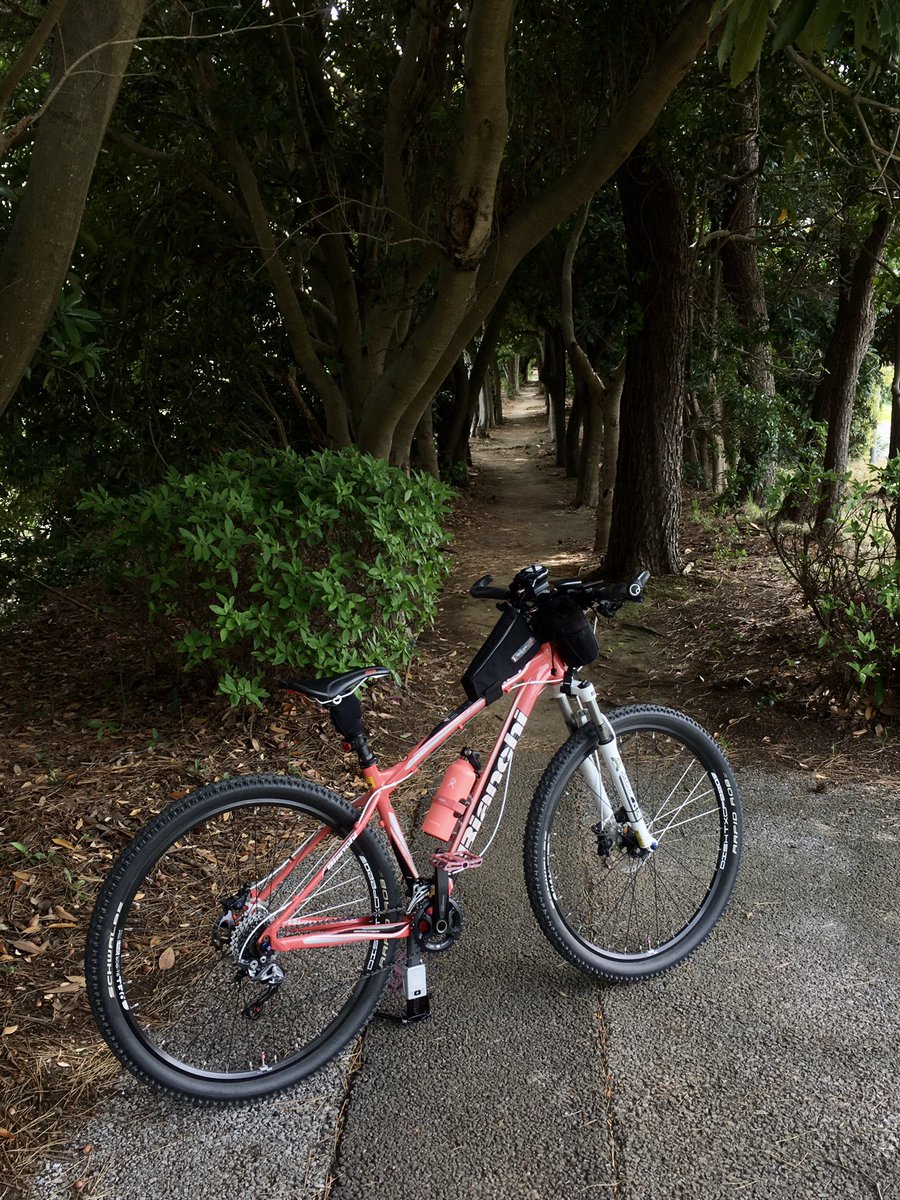 fatbiker19691's tweet photo. となりのトットロ♪
トットーロ♪

おーい、トトロぉ‼️
居るぅ❓

#bianchi
#cycling
#potaring
#ビアンキ
#ポタリング
#ゆるポタ
#となりのトトロ https://t.co/312aHD9RQc