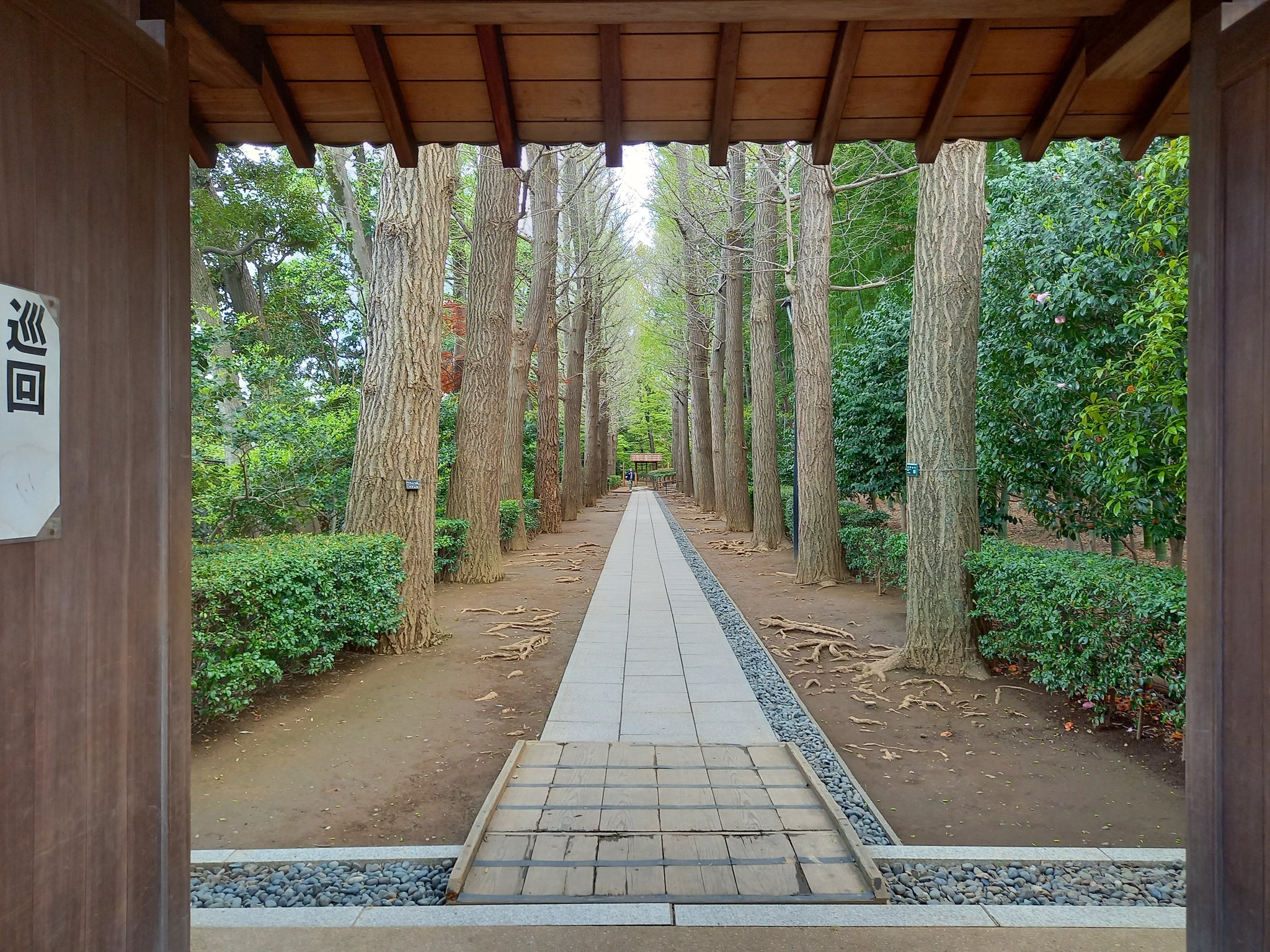 三浦靖雄 登録702号は大田黒氏の屋敷跡である杉並区立大田黒公園の鯉のエサ袋の空袋入れ 使用は 手を洗う男の子 のはずですが現在サイトにあるものとは大きくタッチが違うのが分かります 貴重なマイナーチェンジ素材 いらすとや いらすとや