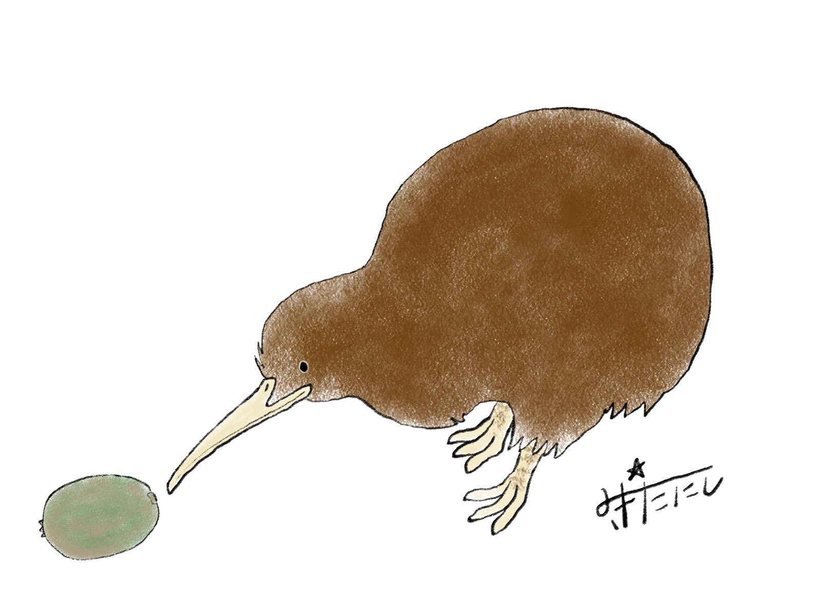 みきたにし イラストレーター 可愛いのができたので見てほしい O O 昨日キウイ を描いたらキウイ 鳥 が描きたくなりまして 誰かに刺さればそれでいい 可愛いとおもったらrt イラスト好きな人と繋がりたい Adobefresco T Co