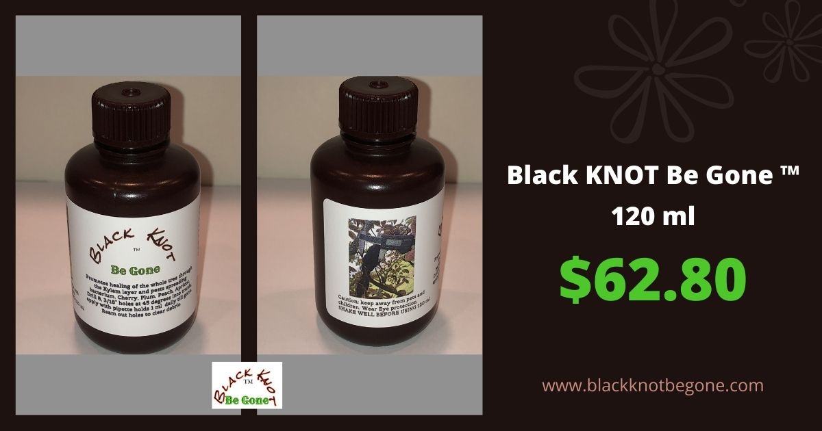 Black Knot Be Gone ™ Safely promotes healing of the whole tree for Black Knot di 