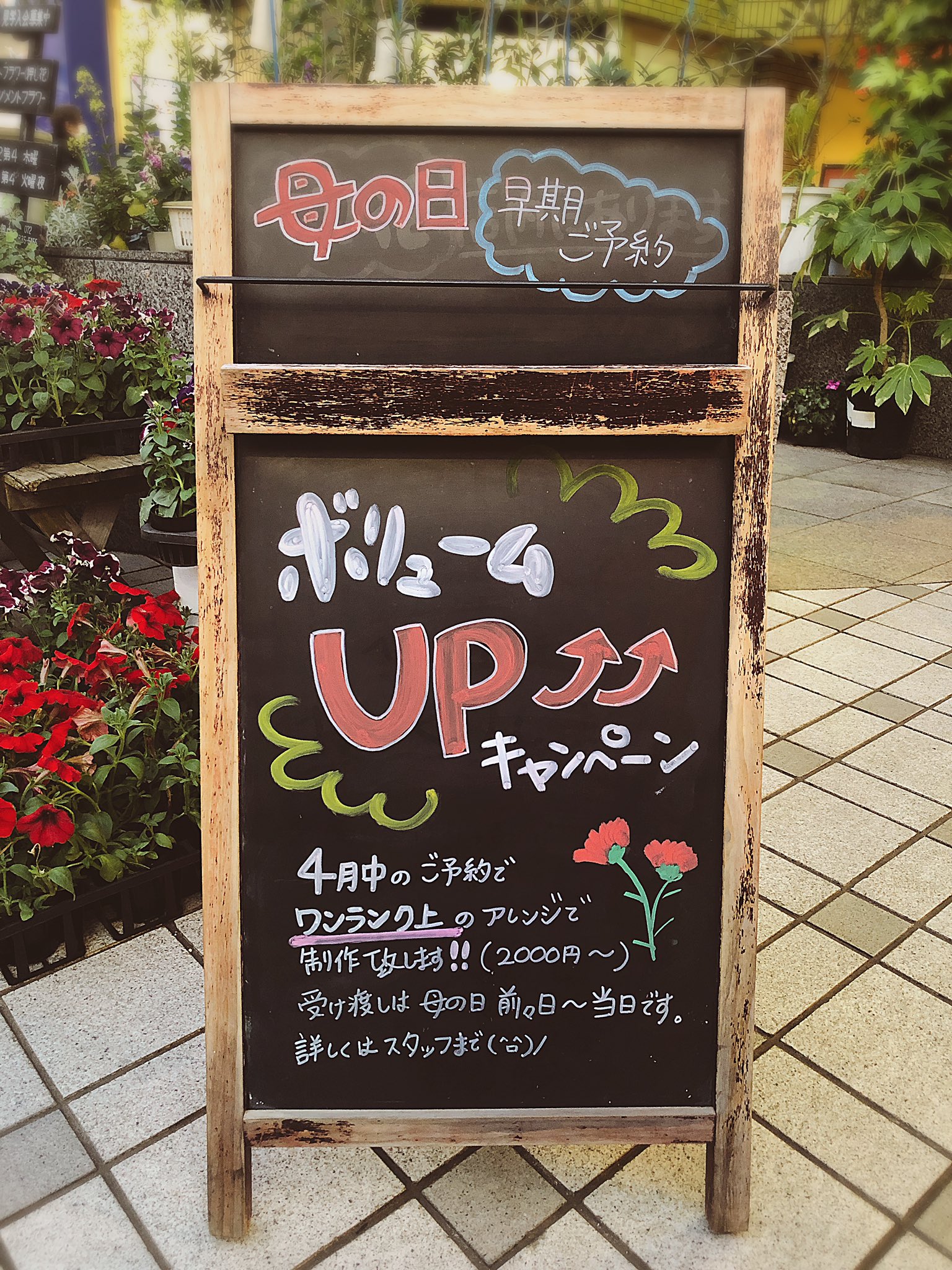 花 フィオーレ 香里園のお花屋 A Twitter 寝屋川市 香里園のお花屋 花 フィオーレ です 今年も母の日が近づいてきました 全国発送 来店ご予約受け付けておりますのでぜひご来店ください これからsnsにて新商品情報など更新していく予定ですので フォロー