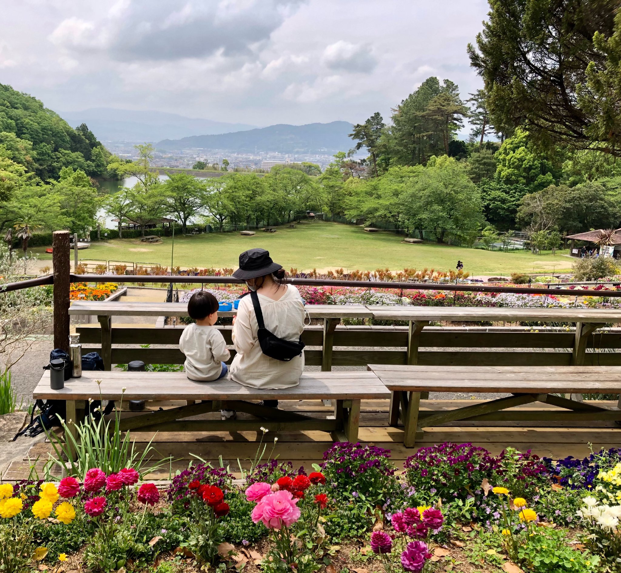 みかんの栞 和歌山たべもの 朝一番から緑化センター 岩出市 お花もたくさん咲いてて 気持ちよかったー 温室の植物たちもすごくあります でも見物客は多くない 笑 和歌山県民は日常生活から自然に親しみすぎて興味ないんかな みかんの栞 岩出市