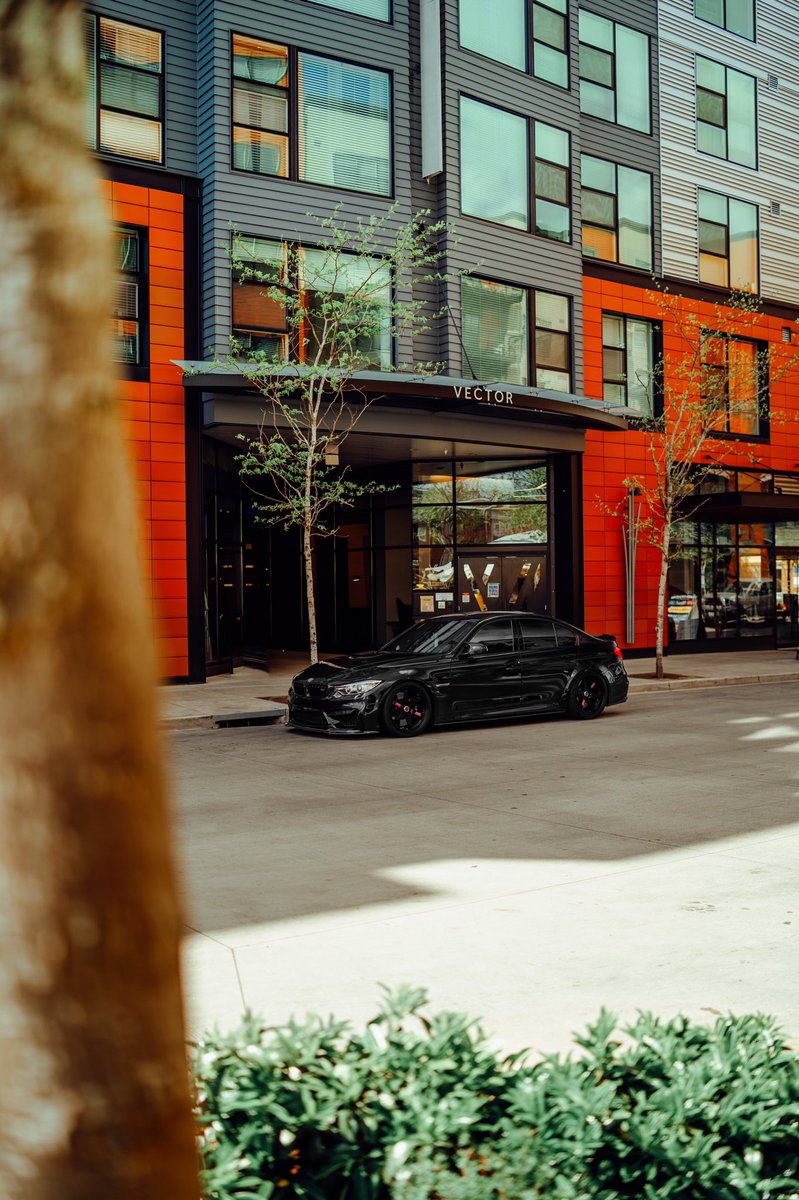 Ste3zymedia's tweet image. #f80m3