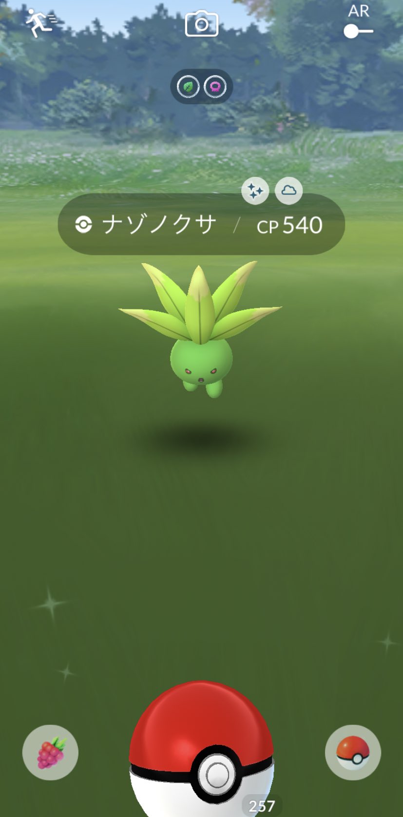 ここあ ナゾノクサ色違い ラフレシアとキレイハナ揃った T Co 2yiimpdabp Twitter