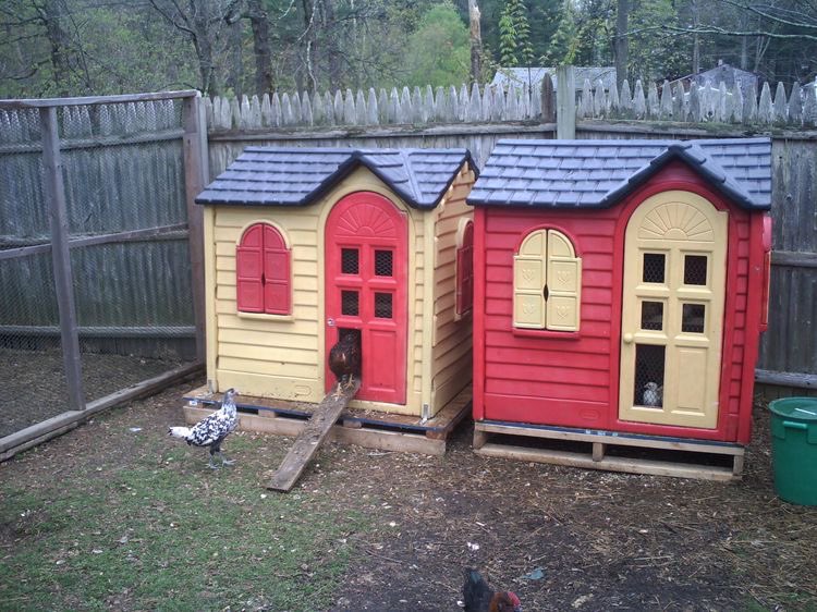 They're also super easy to care for.They need food, water, and shelter.For shelter, give them a coop that (1) keeps predators out, and (2) keeps them dry. Everything else is a detail.Can be a shed or an old packing crate or even a recycled playhouse like these ones.