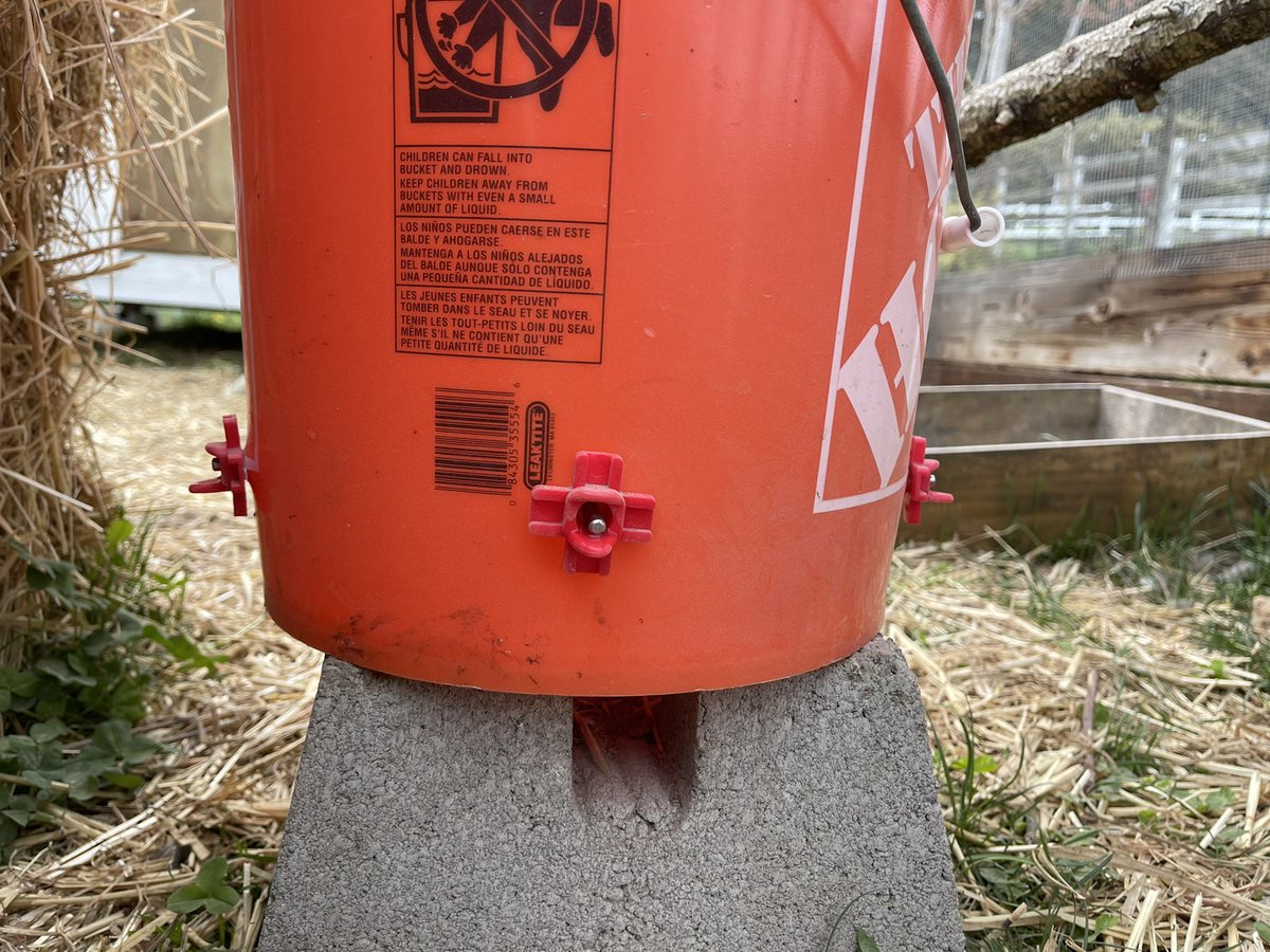 Sorry. Had to.This is the 5gal bucket in our run.Those red jobs are the nipples. They cost less than a dollar. Screwed into holes in the bucket.When a bird pecks the metal knob it releases a little water into the scoop.Water stays clean 5 gallons at a time.