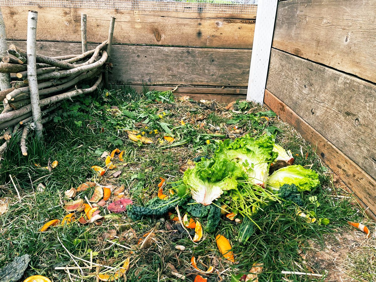 They'll also eat a LOT of your food scraps. Pretty much anything. Even chicken.Funny enough, they ADORE scrambled eggs.This is the spot we toss all our compost. They eat what they want and break down what they don't.