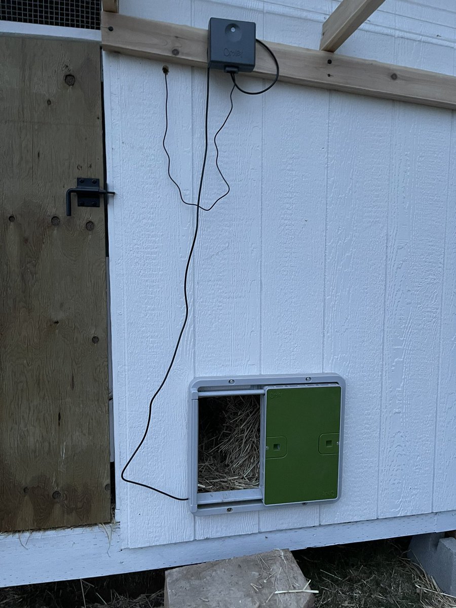 Solution: automatic door opener.There are a few brands. They all work.Sun comes up, light sensor opens the door. It gets dark, door closes.Chickens will put themselves to bed in their coop by themselves. They just know.Our auto door from inside and out: