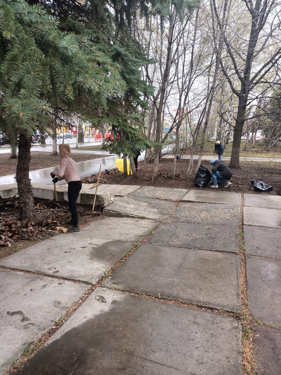 Elchin Gashimov tweet media