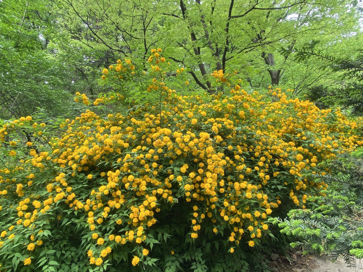 지영환 Ji YOUNG HWAN (@sssseoulsss) on Twitter photo 