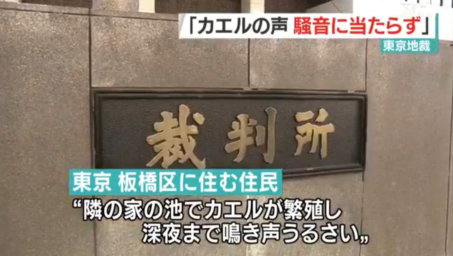 カエルの鳴き声 Twitter Search Twitter