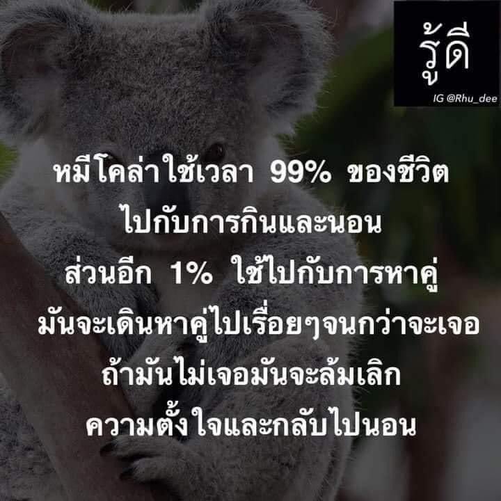ปังนะ