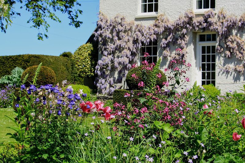 GwentNGS's tweet photo. GLEBE HOUSE - New Pop-up openings, 28,29th April,11-5pm. Pre-booking essential here https://t.co/fSSajTwlor  This elegant garden is bursting with spring colour - magnificent Wisteria, flowering cherries, topiary and beautiful drifts of bulbs through early flowering perennials. https://t.co/EIZYBUKBDf