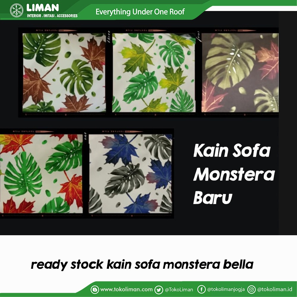 TokoLiman's tweet photo. Pecinta monstera bisa merapat https://t.co/3k9v4EE6WI