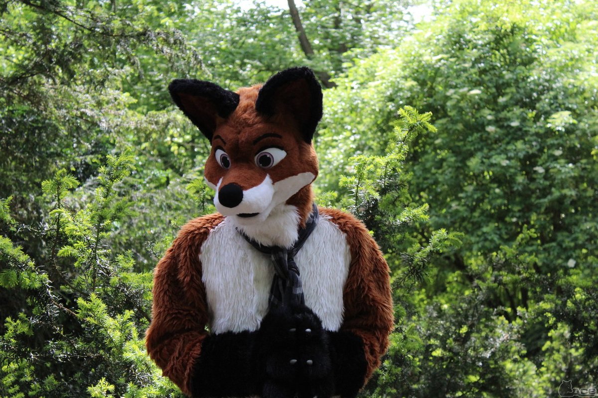 Fursuit Photo of the day