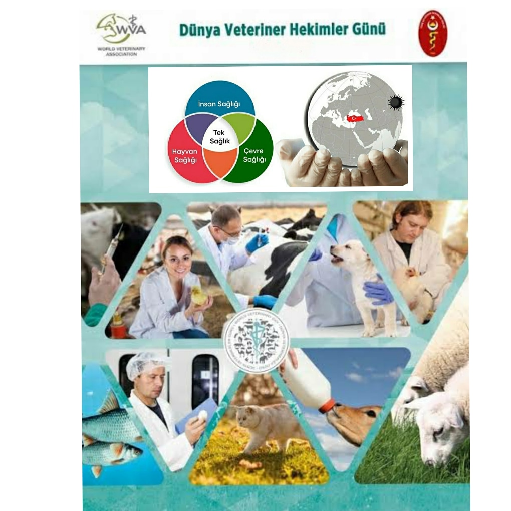 #VETerinaryday #veterinerhekimlergünü