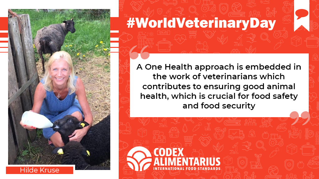  | "A  #OneHealth approach is embedded in the work of veterinarians, which contributes to ensuring good animal health, which is crucial for  #FoodSafety and food security"-  @KruseHilde  #WorldVeterinaryDay