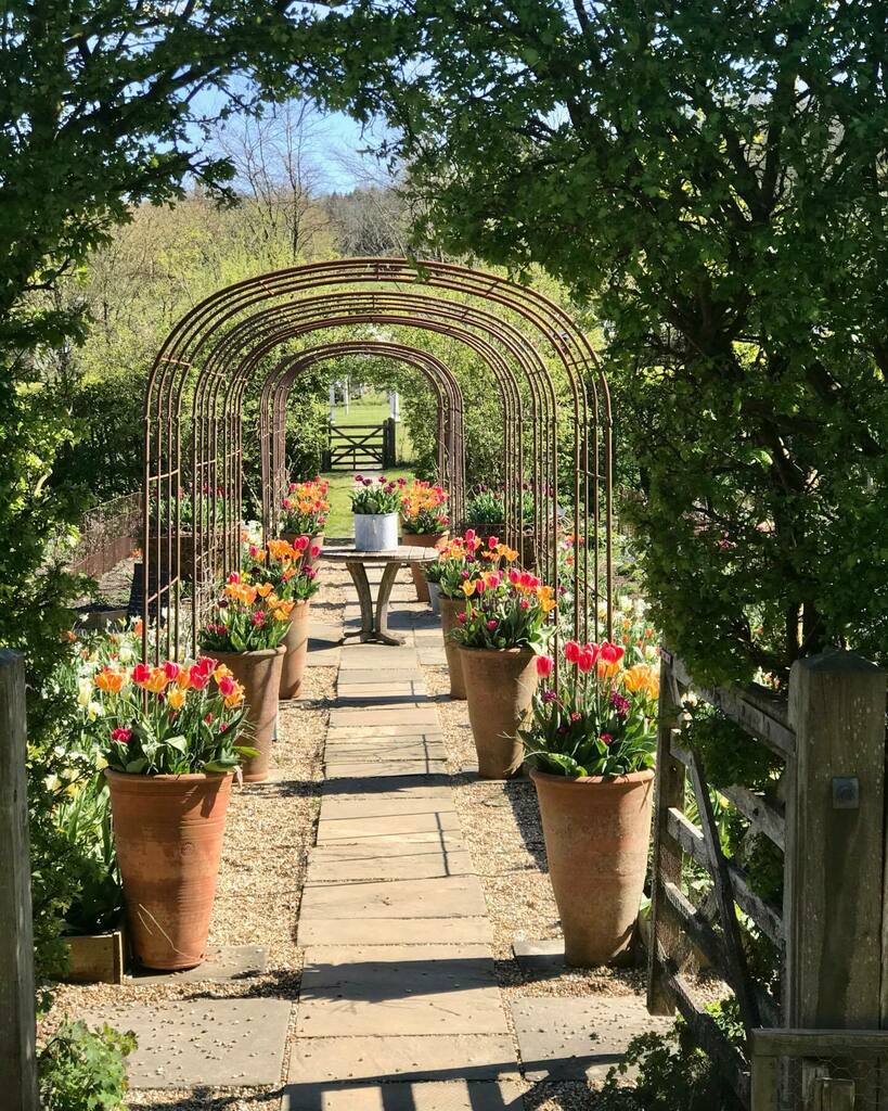 HomeattheHeart1's tweet photo. 🌿 G A R D E N E R ‘ S  D E L I G H T 🌿

So yesterday we went out!
🌿
We had lunch, tea and cake and a stroll around Sarah Ravens gardens at Perch Hill under perfect, clear blue, Spring skies. It was wonderful!
🌿
I’m remembering that part of the fun of going out is the pla… https://t.co/CsccjnXsaa