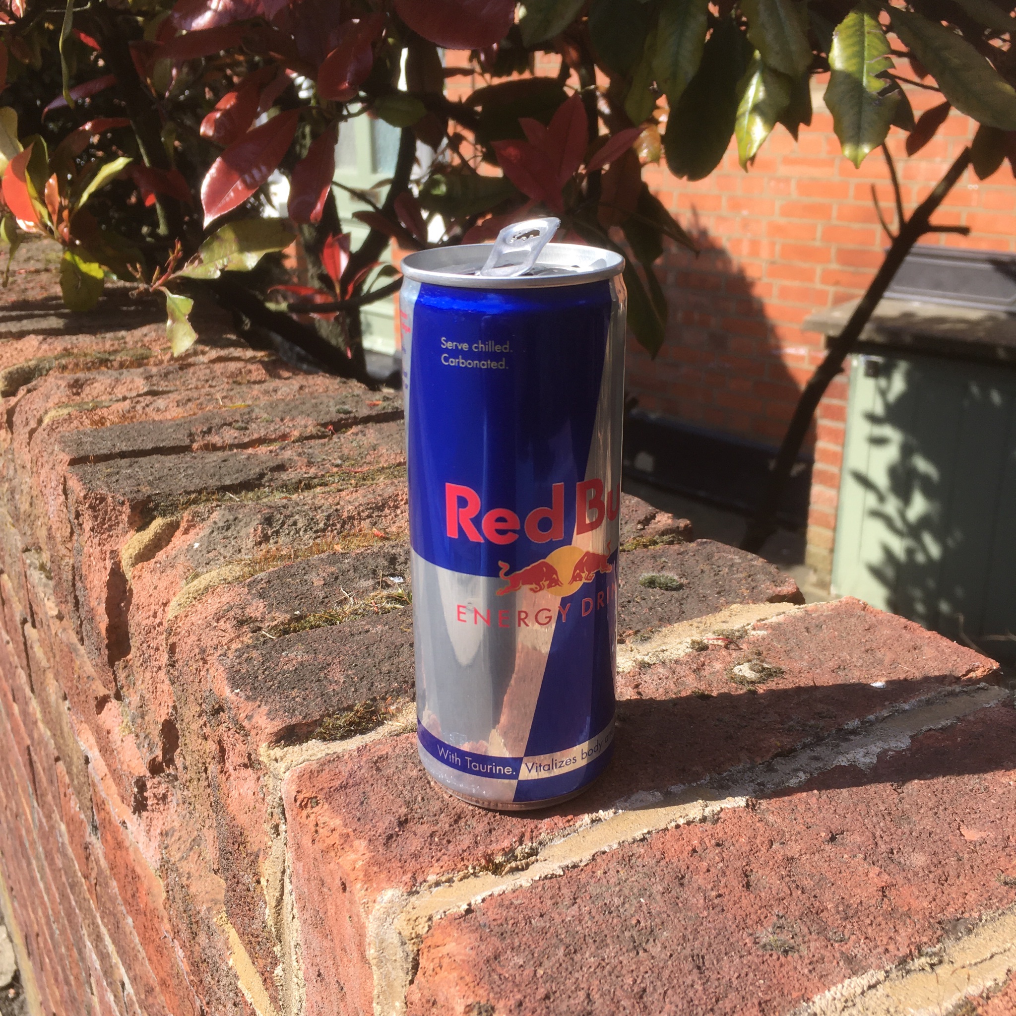 Red Bull Litter Red Bull Can 219 Abandoned On A Garden Wall In Whetstone With Lots Of Liquid Still Inside Half Full Or Half Empty Redbull Litter Litterpicking Recycling Whetstone