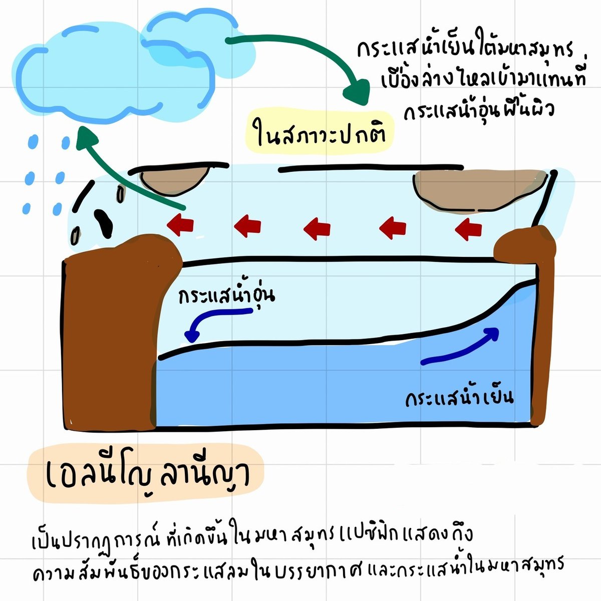 ClearThailand's tweet photo. เอลนีโญ ลานีญาคืออะไร? 😕
ส่งผลต่อชีวิตพวกเรายังไง🤔

มาเคลียร์ทุกข้อสงสัยด้วย
ด้วย #สรุปจากติวเตอร์
Science Style Mo 👩‍🔬
.
**นี่ยังไม่ใช่ทั้งหมด**
อ่านต่อเต็ม ๆ ได้ที่ 👉https://t.co/DDz9C0aYBd
.
#ติว #สรุป #TCAS #Dek68 #dek69 #dek70 #วิทย์ #สรุปวิทย์ #มต้น #โน้ตสรุป #studygram https://t.co/R15zebxhVu