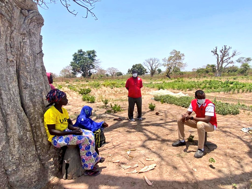 GambiaRedCross's tweet photo. In 2018, @GambiaRedCross &amp; @CruzRojaEsp
supported (5) communities in Kiang with gardens throught the livelihood project

The project has come to an end &amp; our staff are in the field to know the level of preparedness by the beneficiaries for continuity before official handing over https://t.co/WkbHP2aEhj