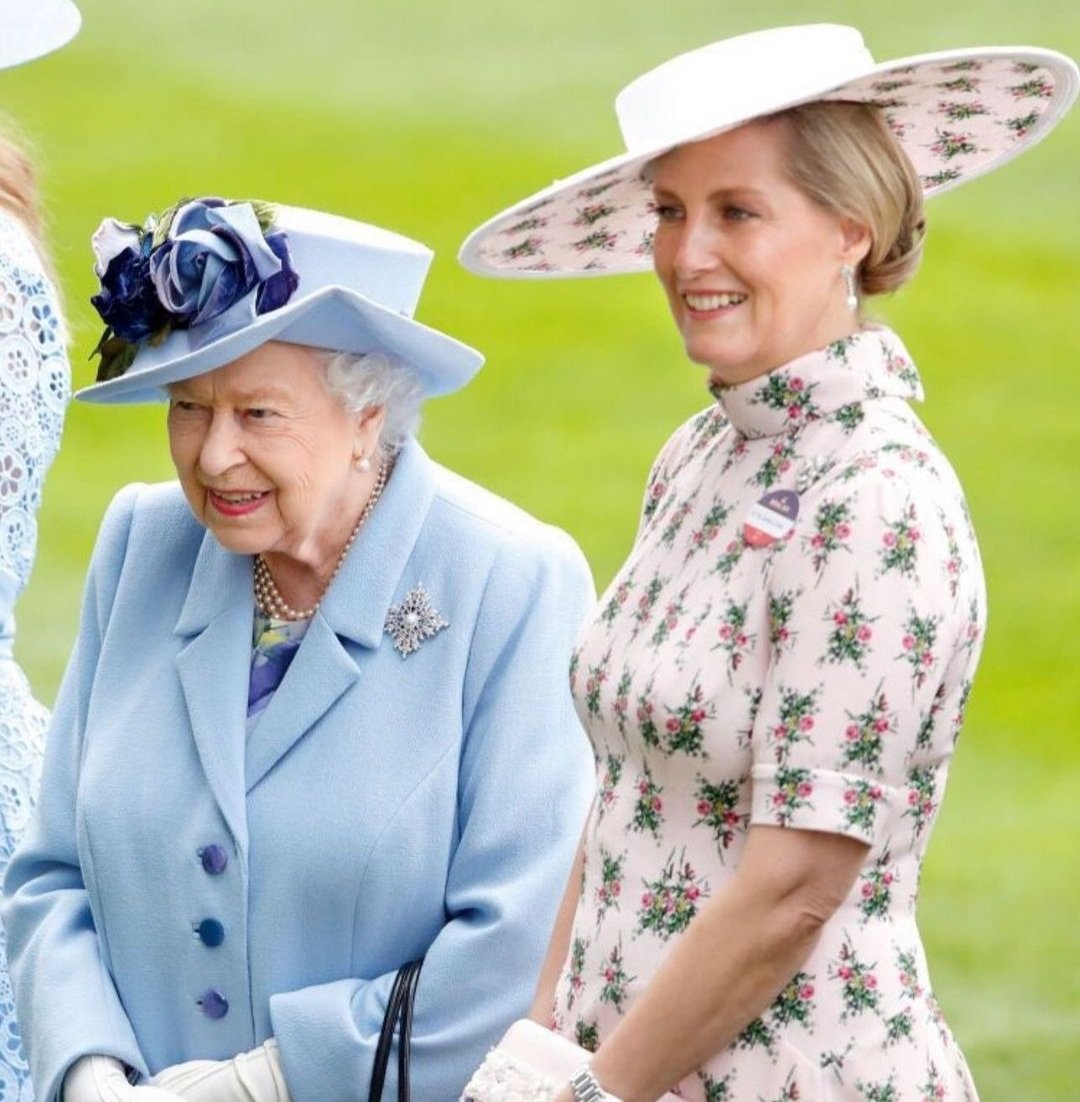 THE CERVE ™ tweet media