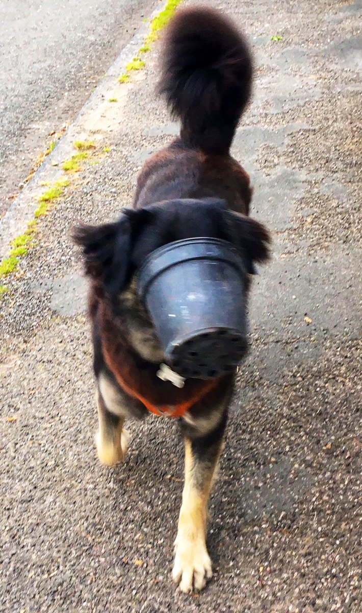 keswickbootco's tweet image. Morning all 

Please don’t forget your mask 😷 when out shopping 🤣🤣

#SaturdayMotivation #spacesgotalent #COVID19 #SaturdayVibes