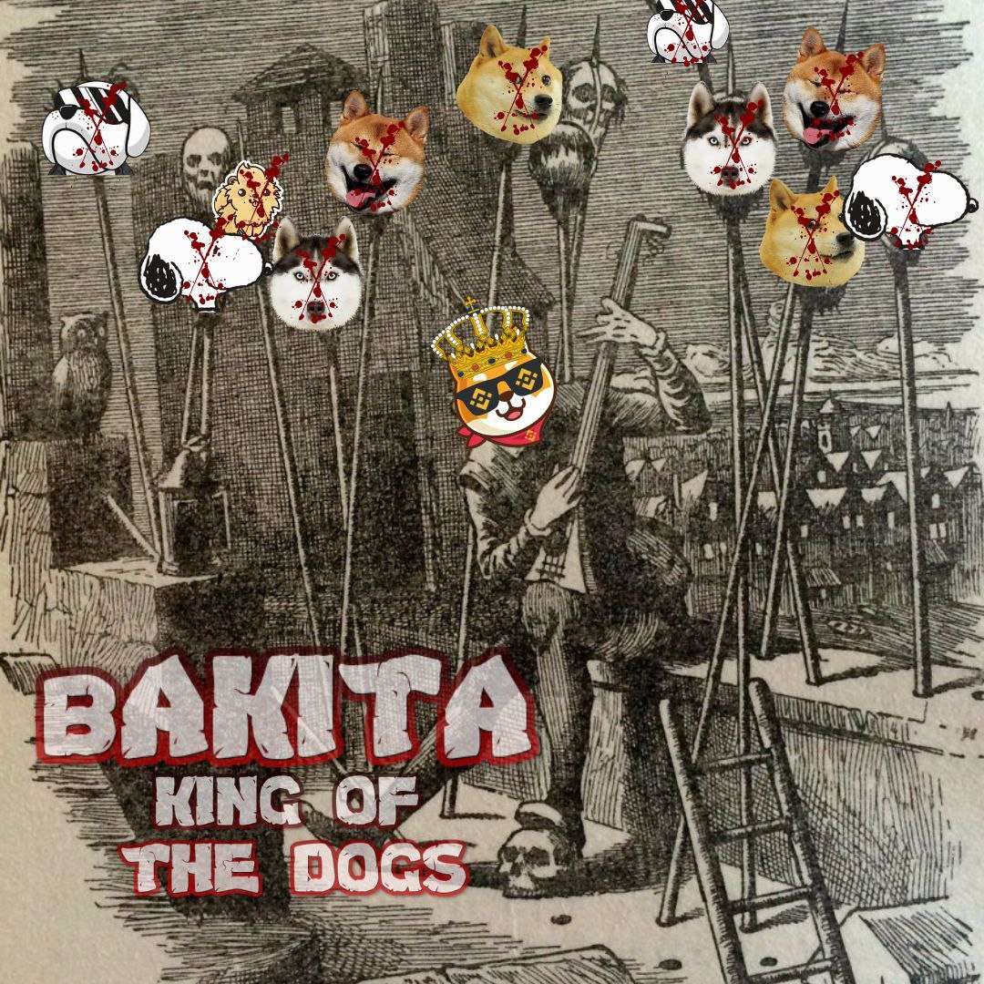 $bAkita king of the dogs
T.me/bAkitanetwork 

 $AKITA $DOGE $HUSKY $BNB $SHIB $SNOOPY $ETH $HOGE $POGE $LEM $ELON