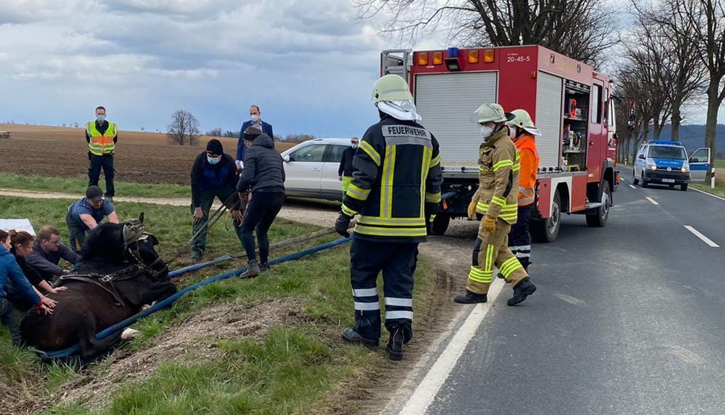 wwwFEUERWEHRde's tweet image. #Feuerwehr #Springe #Völksen

Kutschenunfall

feuerwehr.de/einsatz/berich…

#EinsatzFW