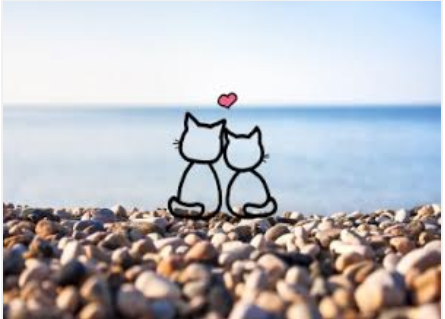 eunice_loba's tweet photo. Aujourd'hui j'ai envie de
Vous souhaiter le meilleur
Des #Week_ends,rempli de Douceur,d'Amour,de joie...😍 https://t.co/WNssD2xtQH
