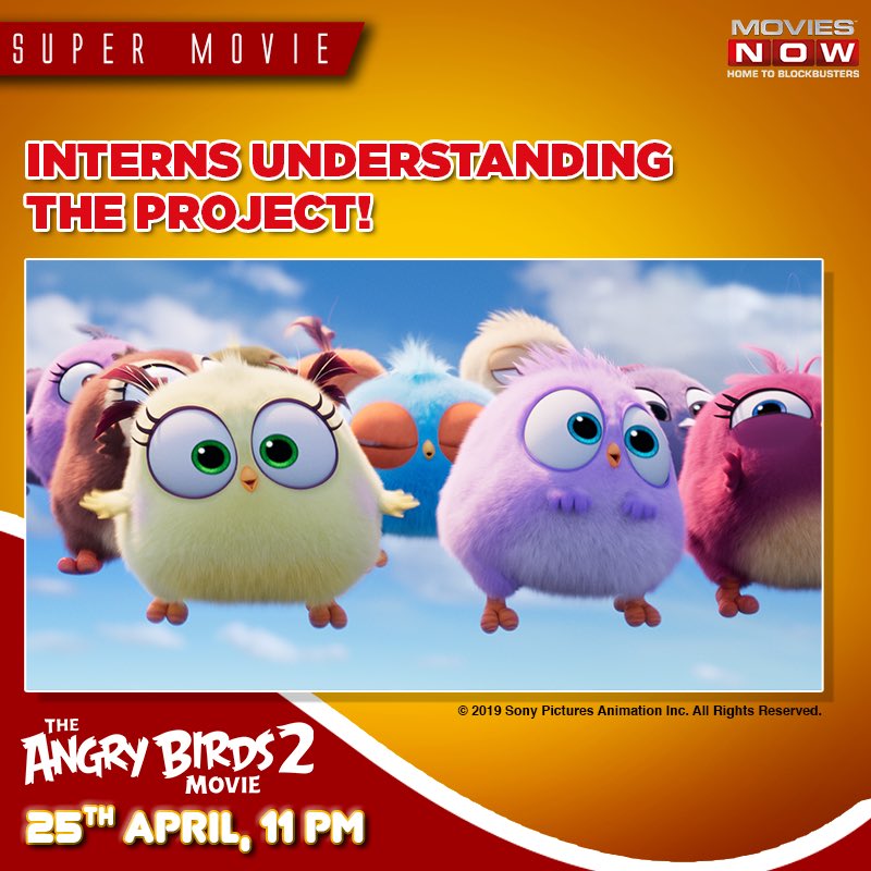 moviesnowtv's tweet photo. Do we even need to ask if you can relate? Go ahead and tag your presentation partners and friends in the comments below.
Watch #SuperMovie 'The Angry Birds Movie 2' on 25th April at 11 PM.
#TheAngryBirds2 https://t.co/GeJz1fxP2V