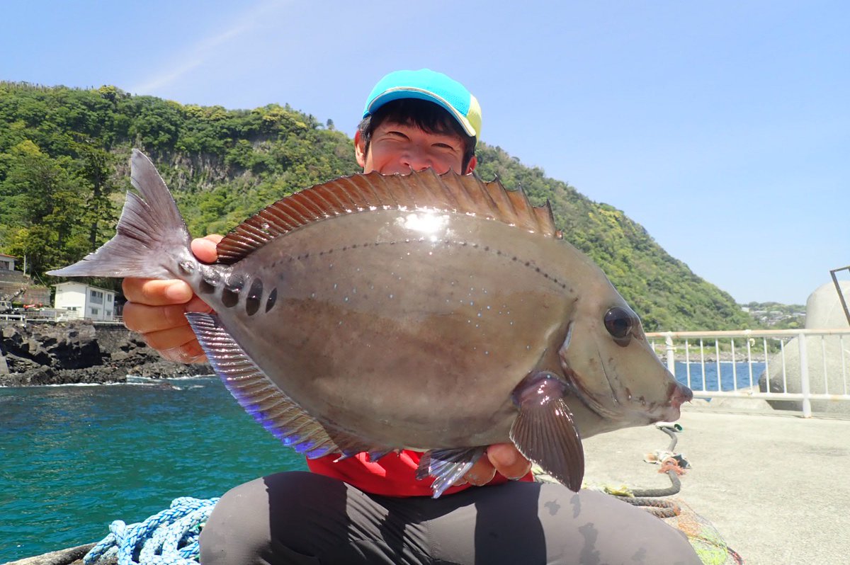 怪魚ハンター山根兄弟 兄 Kimi Chillkimi Twitter 怪魚ハンター山根兄弟 兄 Kimi Chillkimi Twitter