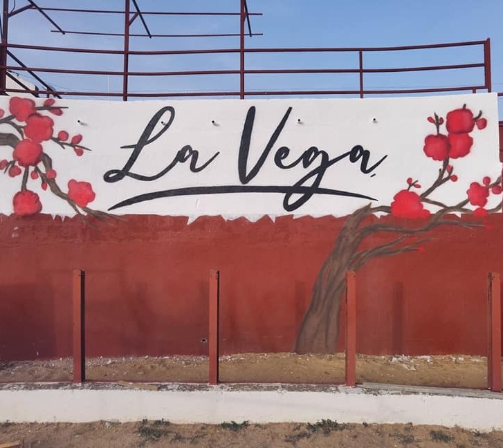 noeliacrespop's tweet photo. 📍Hoy, 587 días después vuelven las corridas de toros a Salamanca, en este caso a Villoria organizada por @bullstarespect. 

🐂 @CastillejodeH para:

👤 @javiercastano_ 
👤 @DamianCastao8

▶️ Todo lo que suceda, os lo cuento en la CRÓNICA para @altoroweb https://t.co/h6fQh0hNux