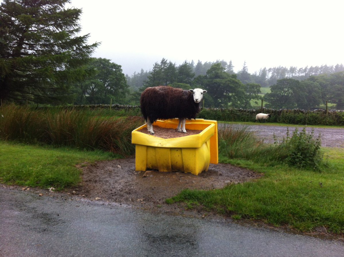 BridgeLakes's tweet image. Good morning from #Buttermere #Cockermouth We hope you have a great weekend ☀️