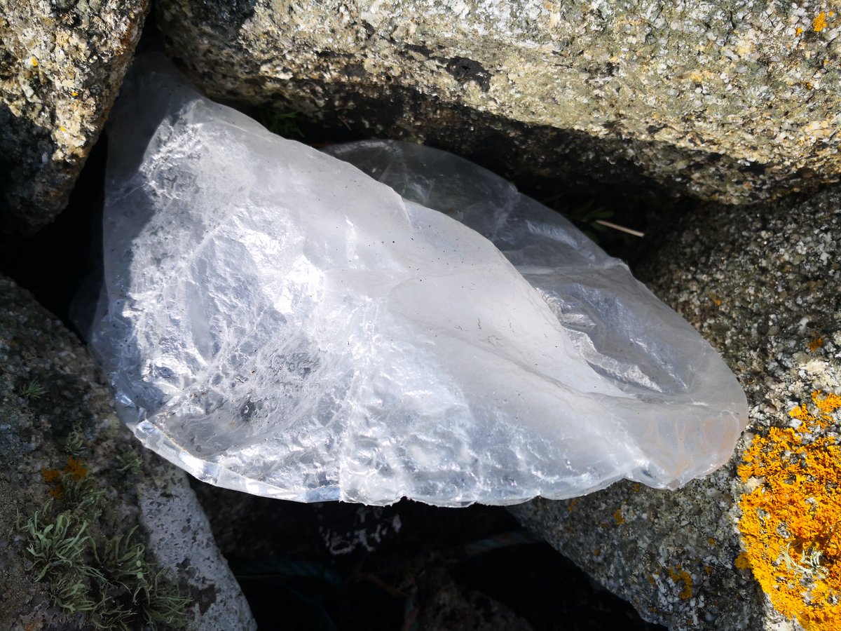 BareFoot_IOS's tweet photo. A beautifully blustery #Balloon kind of #Scilly day
🎈
The current winds are blowing lots of balloons onto our coast; these two were within metres of each other at #PorthHellick yesterday
😢
Even "accidental" escapes harm nature &amp; are litter
#BalloonsBlow #DontLetGo #IslandLife https://t.co/sljYSx4LfM