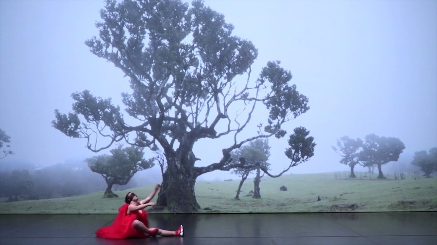 mercatflors's tweet image. "Recala @la_ribot en el Mercat de les Flors los días 24 y 25 para estrenar la conmovedora creación que hizo con los bailarines discapacitados de la compañía portuguesa @dancandodcd. Nos lo cuenta…"

@OKhan_sQ en @susyqdanza a propósito de 'Happy Island':

susyq.es/actualidad/122…