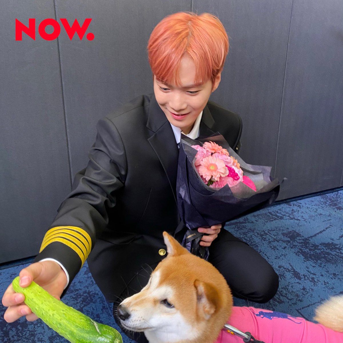네이버 엔터 tweet media