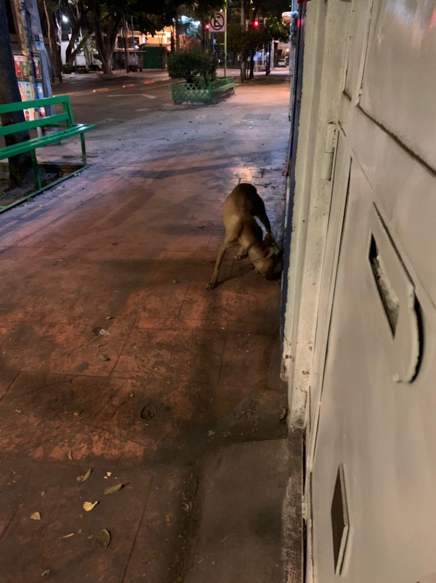 Román Lara tweet media