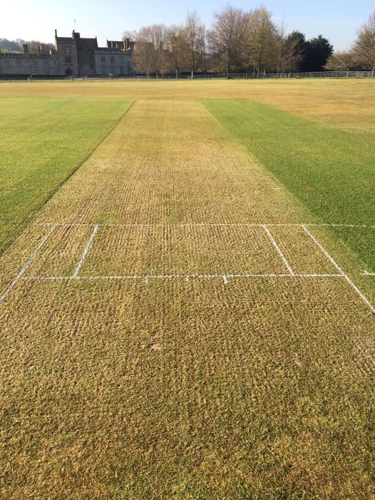 First home wicket of the season looks a belter! 
Bat or bowl first? 
#villagecricket #penshurst #bestgroundsman #KentCricket #lovecricket