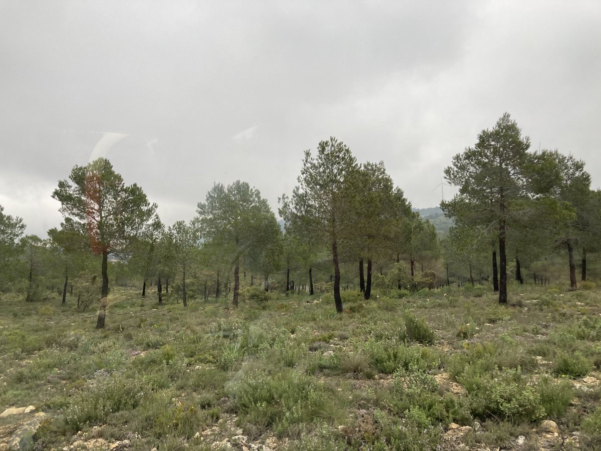 EdRojasBr's tweet photo. Colofon d practicas alumnos #EAMN #UPV Grado Ingeniería #Forestal &MN en selvicultura visitando reinversión canon aerogeneradores Acciona en Enguera en montes d la Generalitat : excelente sinergia dinamizadora gestión y empleo rural: muchas gracias a Pepe Sera y Evaristo Pastor! https://t.co/qIMzAARKBn