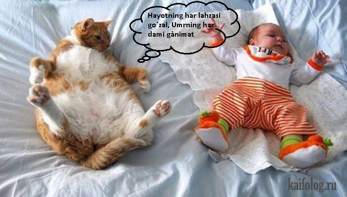 Мы столько времени тратим на людей а они в конце концов доказывают что. Сегодня принесём. Сейчас несу. Дэниел дэй-льюис мем. Сейчас принесу.