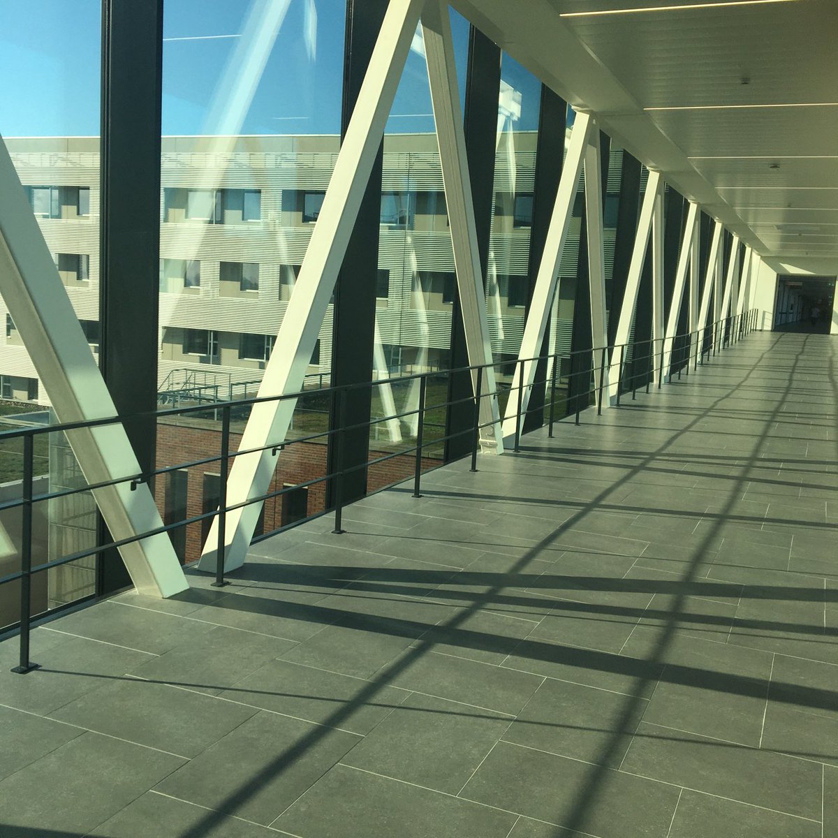 Johan Hellings tweet media