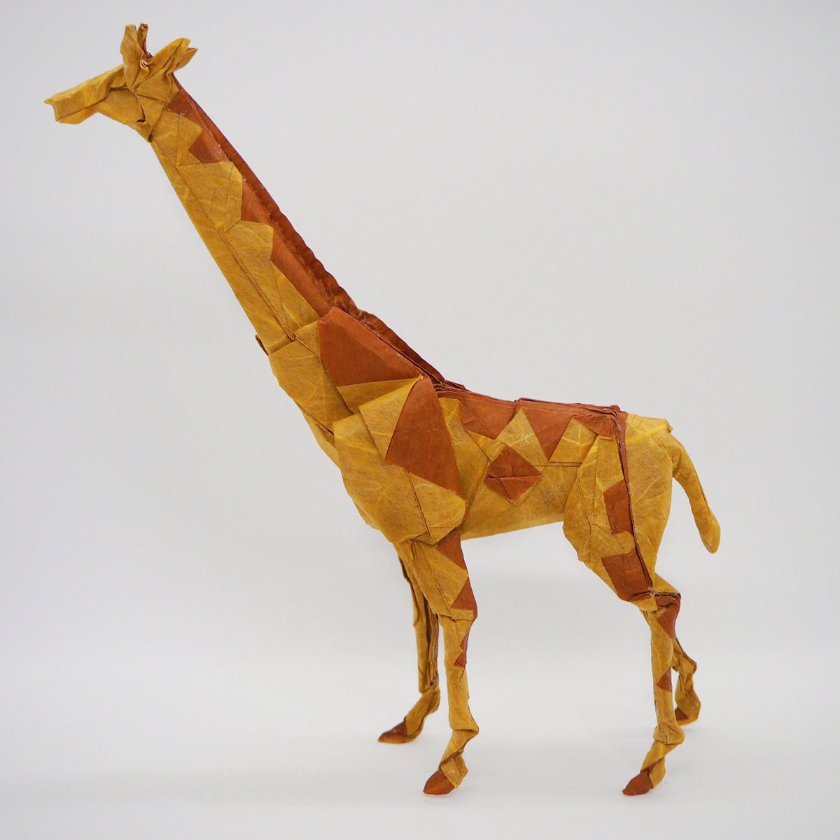 えぃくん على تويتر キリン Giraffe Bodo Haag 雲竜紙 カラペ Unryu Karape 42cm 折り紙 折り紙作品 究極のおりがみ Origami