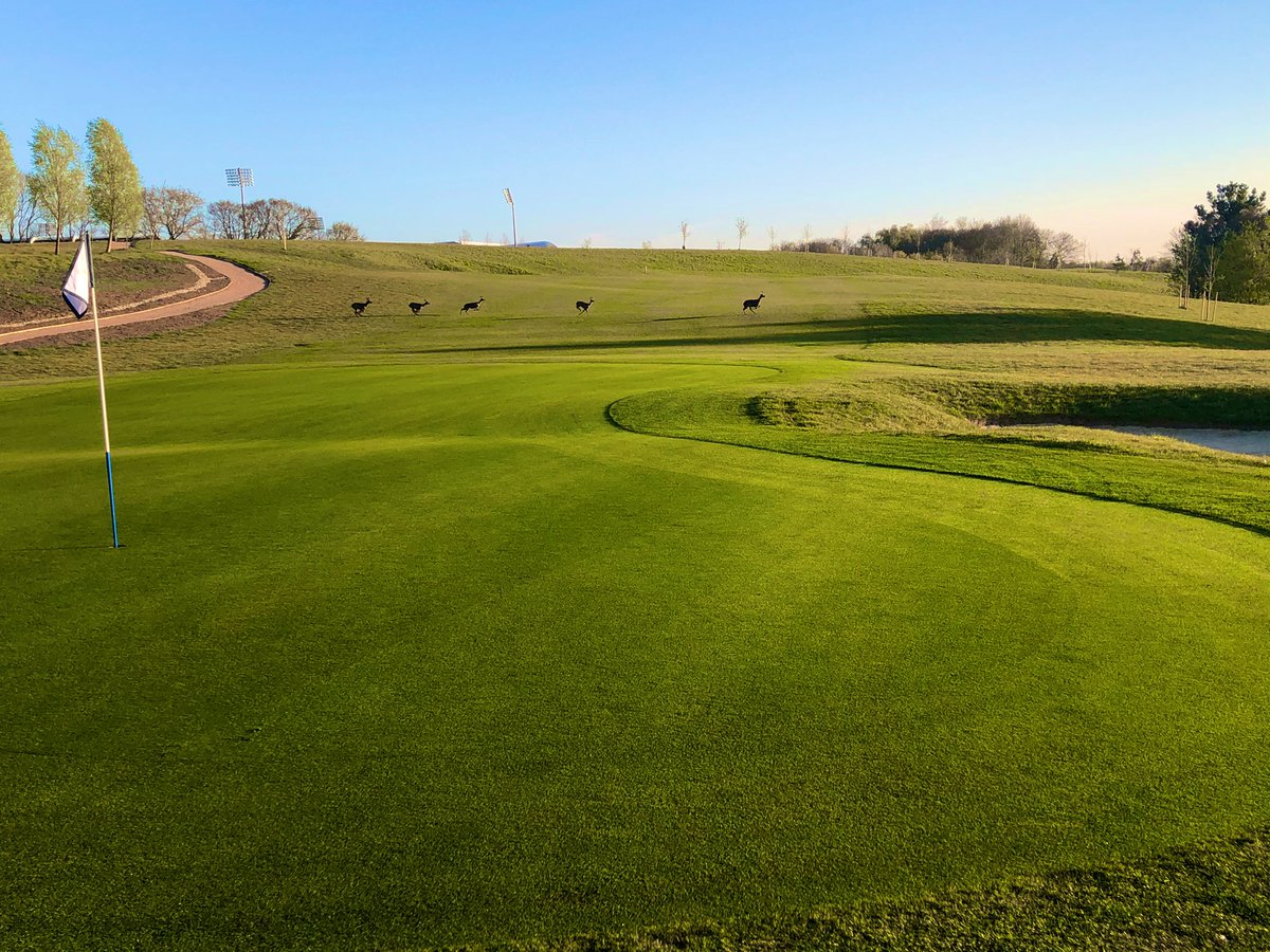 Beautiful morning <a href="/BoundaryLakes/">Boundary Lakes Golf Course</a> 🌞🏌️‍♂️👌🏻