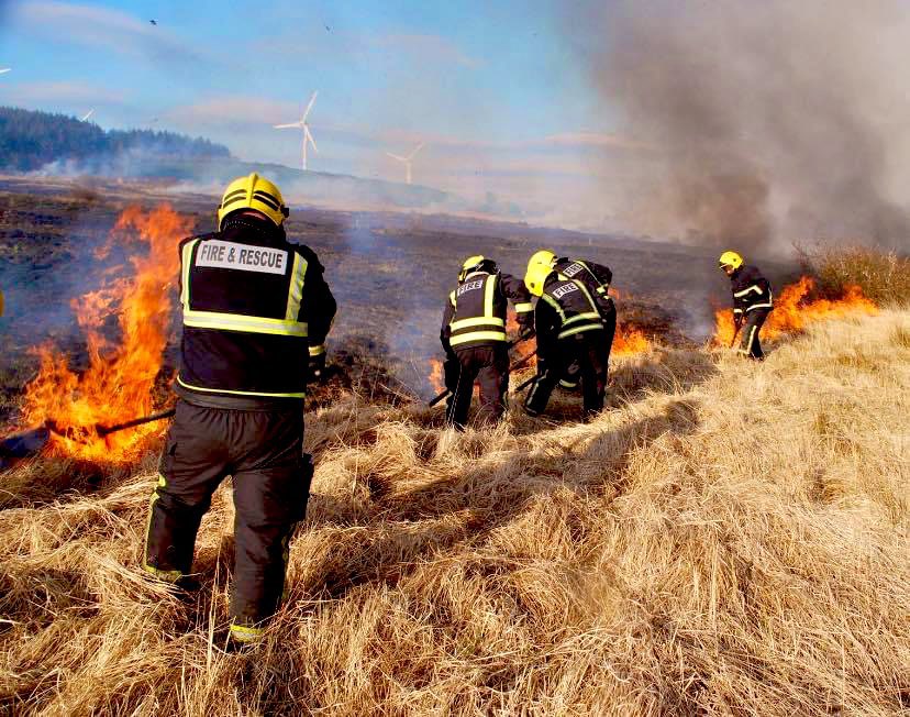 Pippa Hackett tweet media