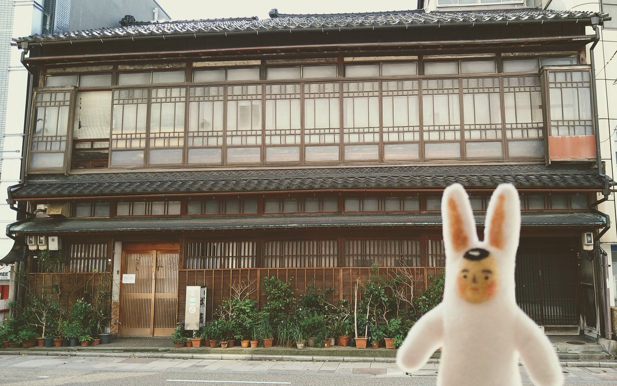 うさぎのさとうくん Hanerusato Twitter
