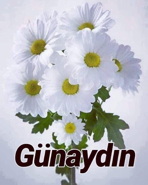 HamitKaraman9's tweet photo. #ARKADAŞLAR #GÜNÜNÜZ #SONUNUZ
#GÜZEL
#OLSUN
#İNŞALLAH
GÜNAYDIN ROJBAŞ HAYIRLI SABAHLAR
GÜZEL GÜNLER CANLAR
SEVGİLİ DOSTLAR
SİZLERİ SEVGİYE SELAMLIYORUM
~LÜTFEN~
~#DİKKAT~
CORONA
TEHLİKELİ
BUYUTLARDA
#KORUNMALIYIZ
TEMİZLİK
HİJYEN
MASKE
MESAFE
EVDEKAL❤️😊 https://t.co/J07o4tXxWN